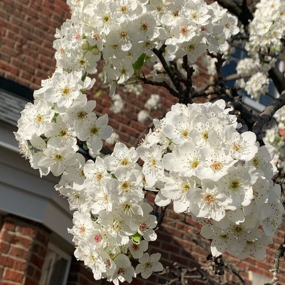 Meet your Posher, Ali - Picture 7 of 7